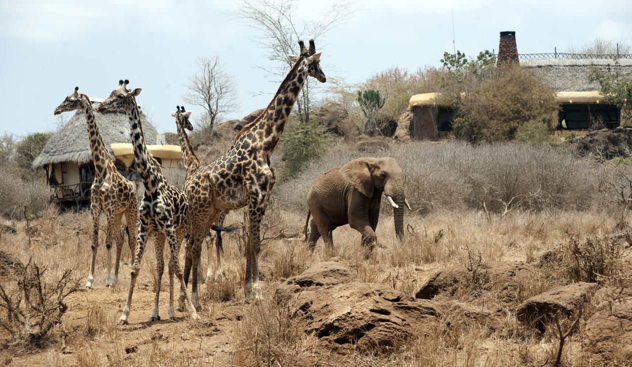 Hotel Elerai Camp Amboseli-Nationalpark Exterior foto